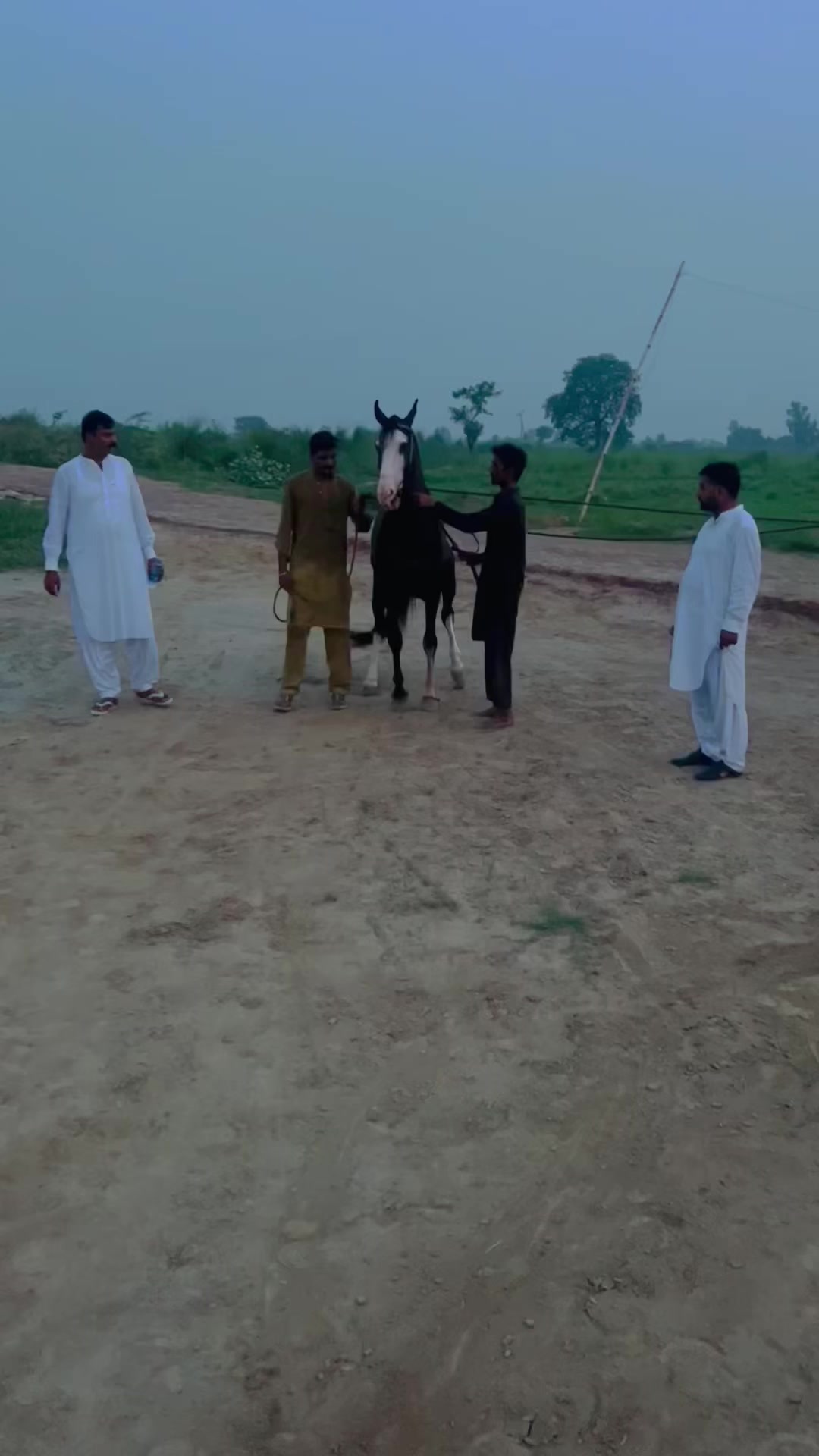 @چوھدری تصدق مالک چیمہ