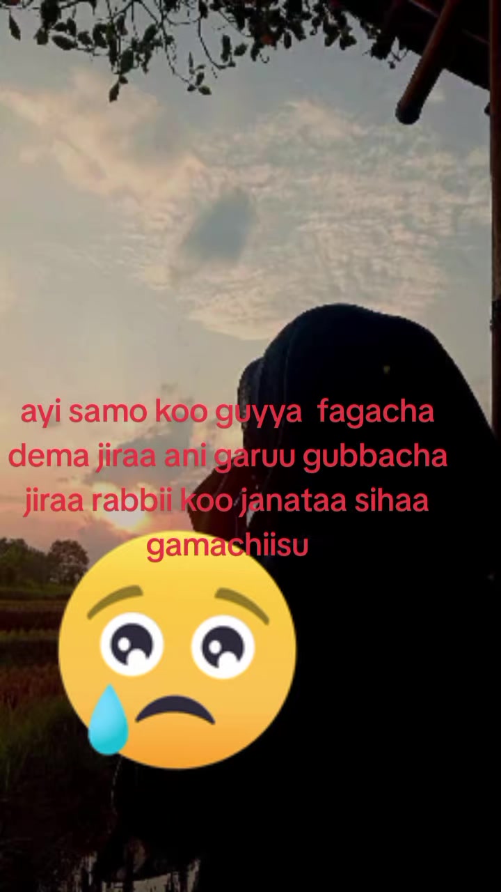 @jirufi jiraa shawa