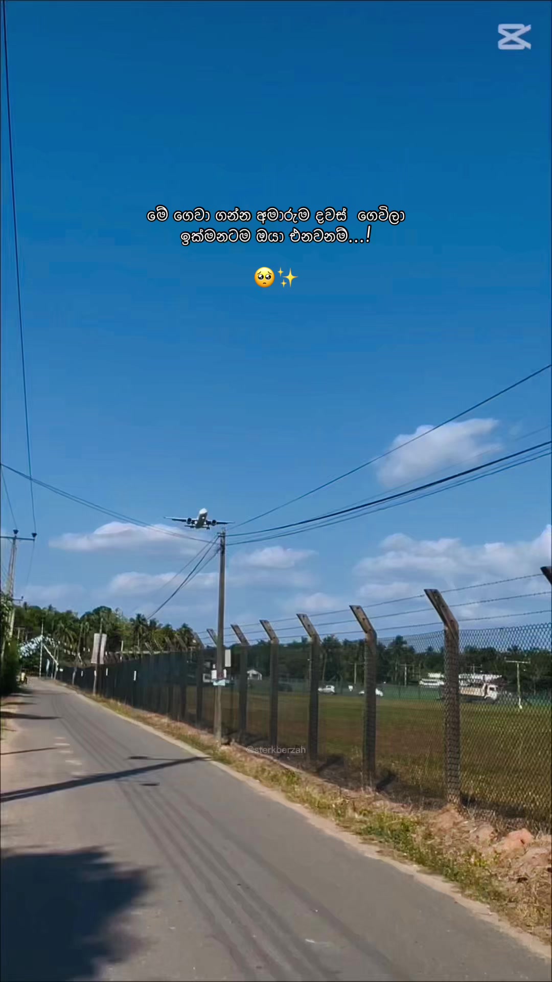@⟆&Eta;&Xi;&Eta;&Delta; 🦕🐾