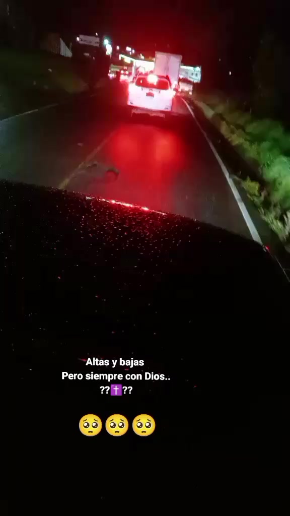 @😮&zwj;💨mar&iacute; Esteban✈️🇲🇽🙏🦅