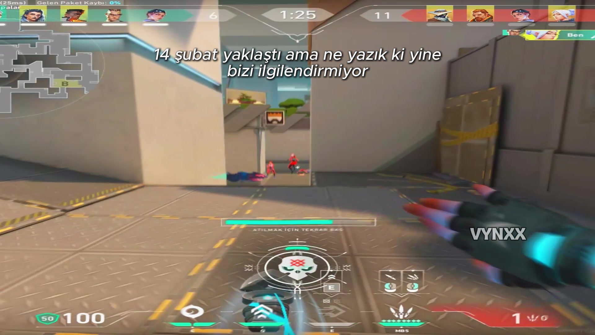 @vynxx.vll