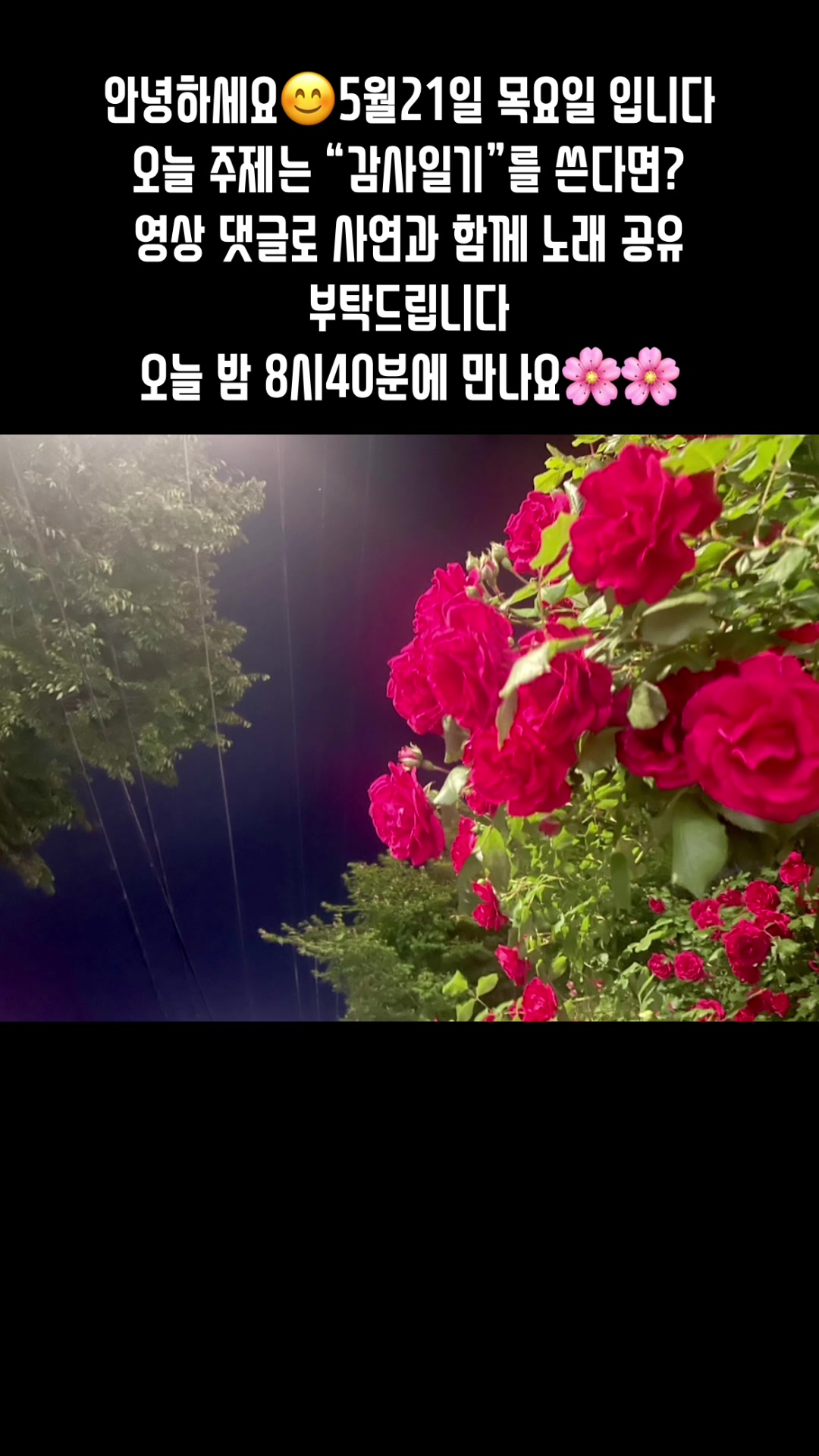 @🪴줄리애쉬