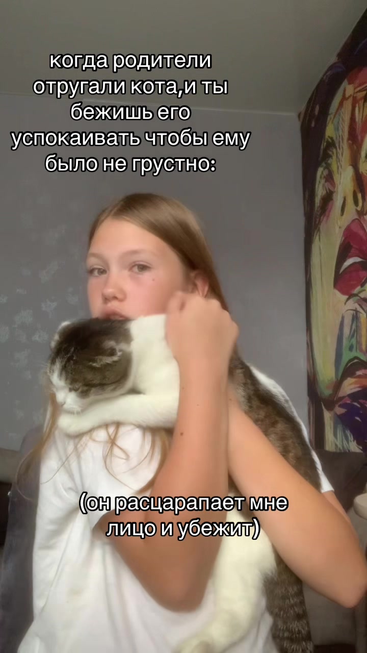 @Владаа🪽