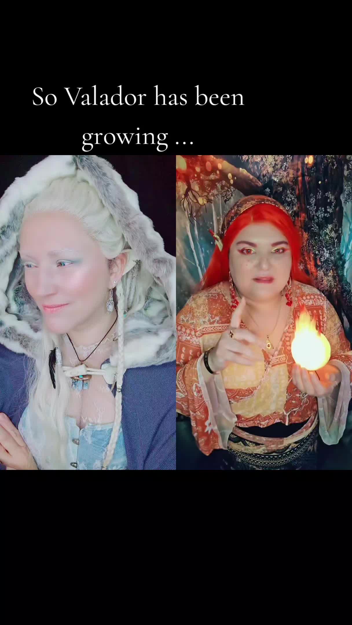 @ElementsOfValador