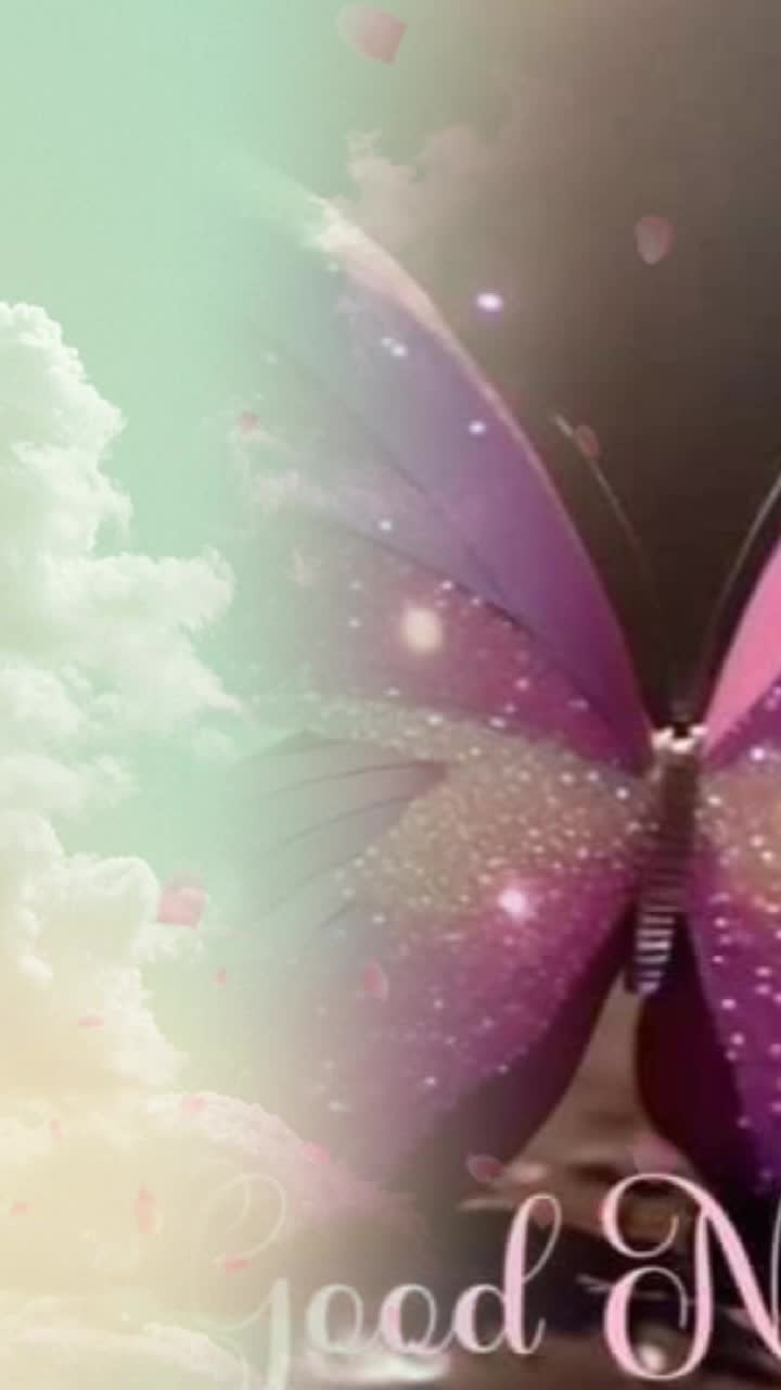 @lovelyangel