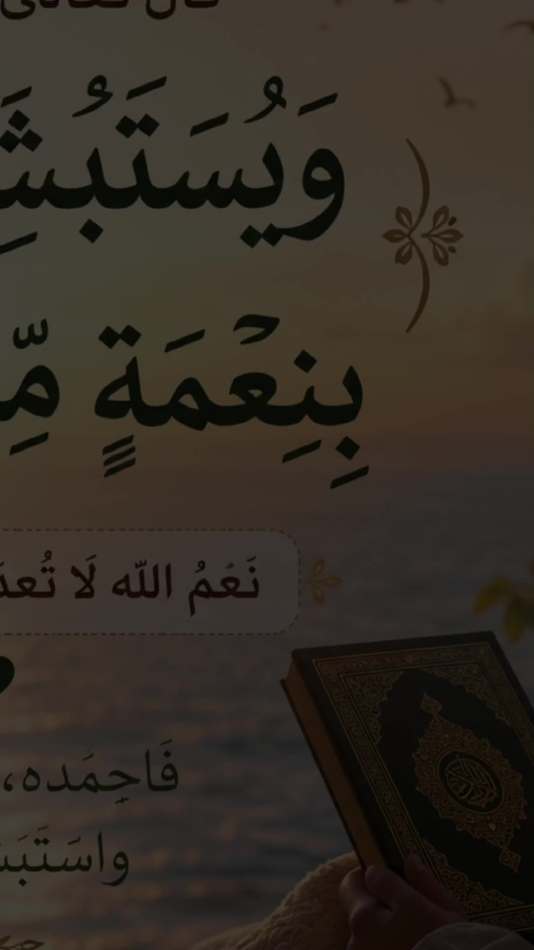 @𓆩🖤 وقــار 𝑾𝒂𝒒𝒂𝒓 🖤𓆪🌸
