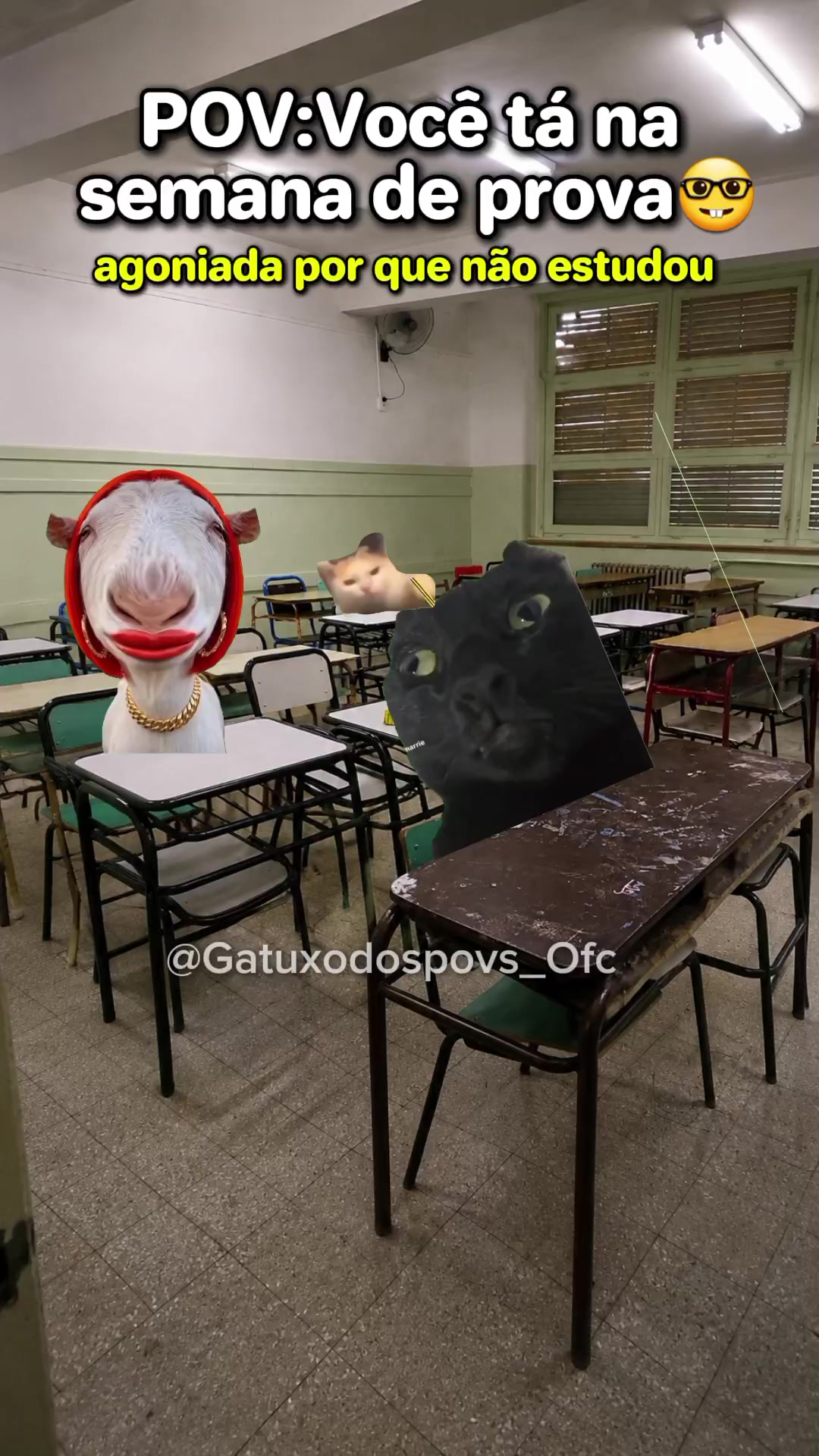 @Gatuxo Dos Povs Ofc