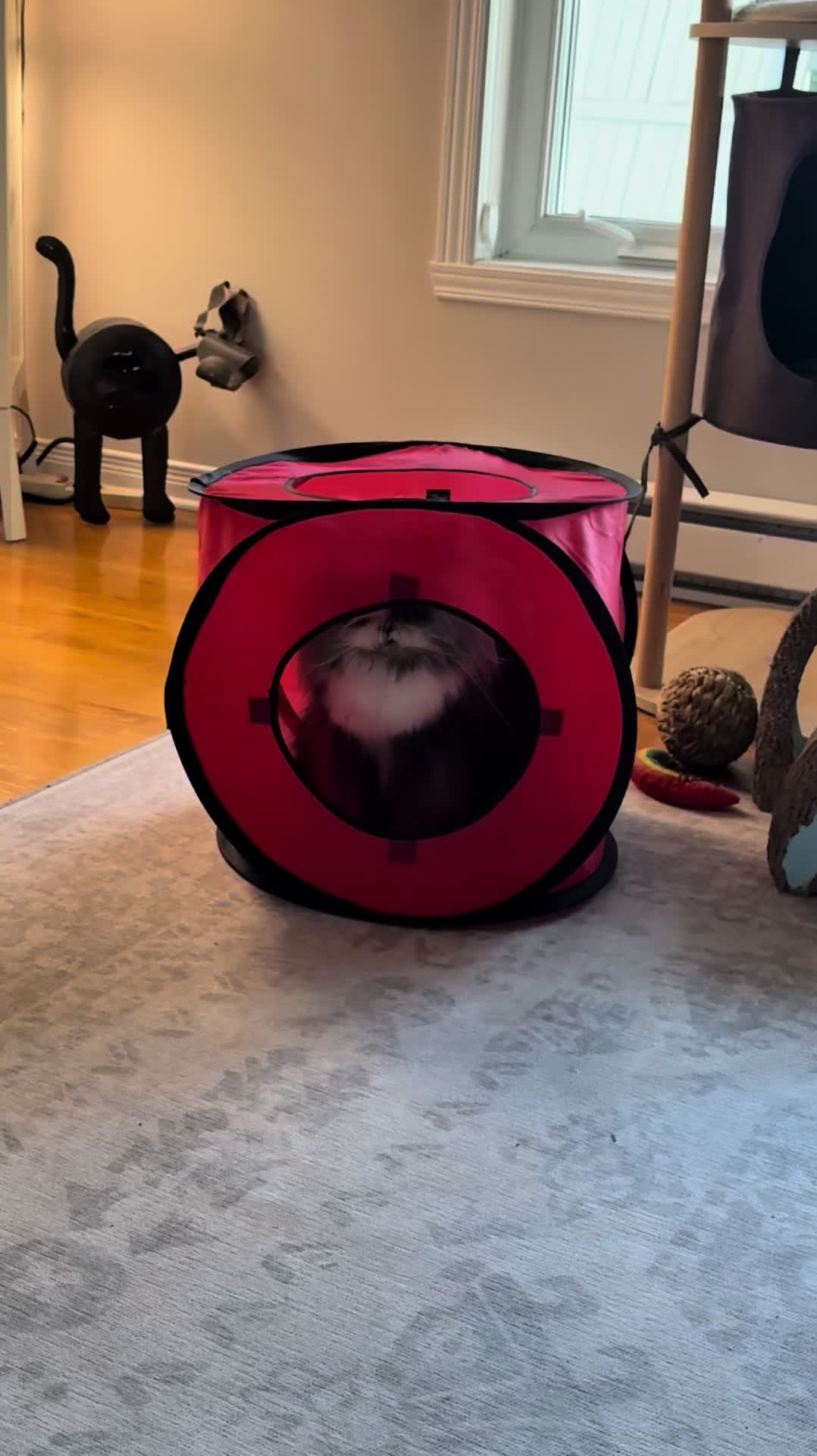 @atchoumthecat