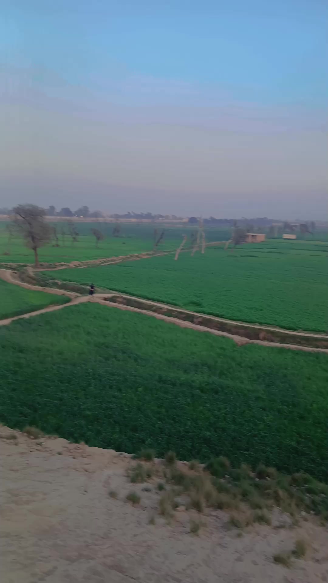 @شاھد قبائلی 🫀🚩
