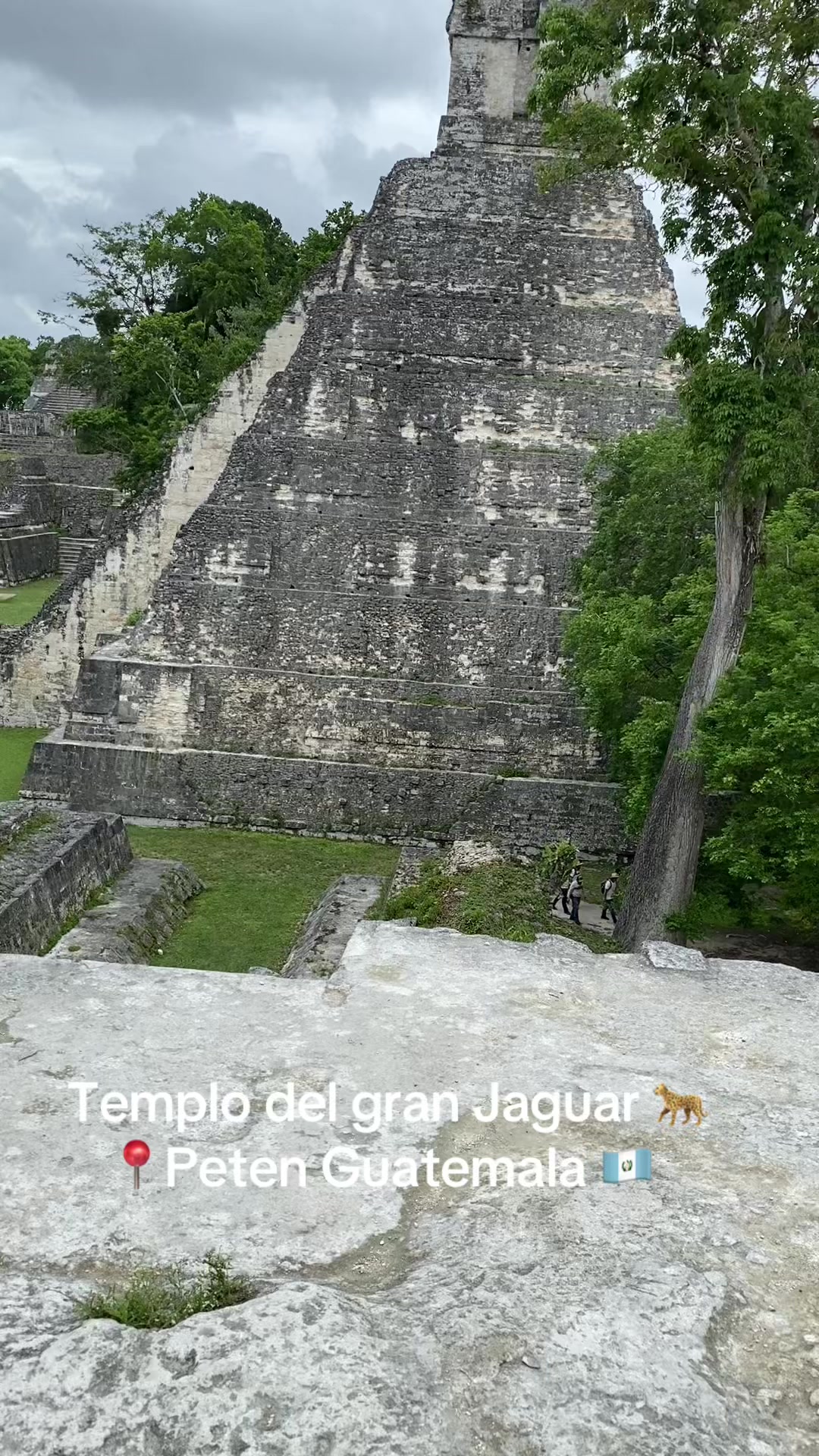 @Tony Tour&rsquo;s Pet&eacute;n_Guia_Local