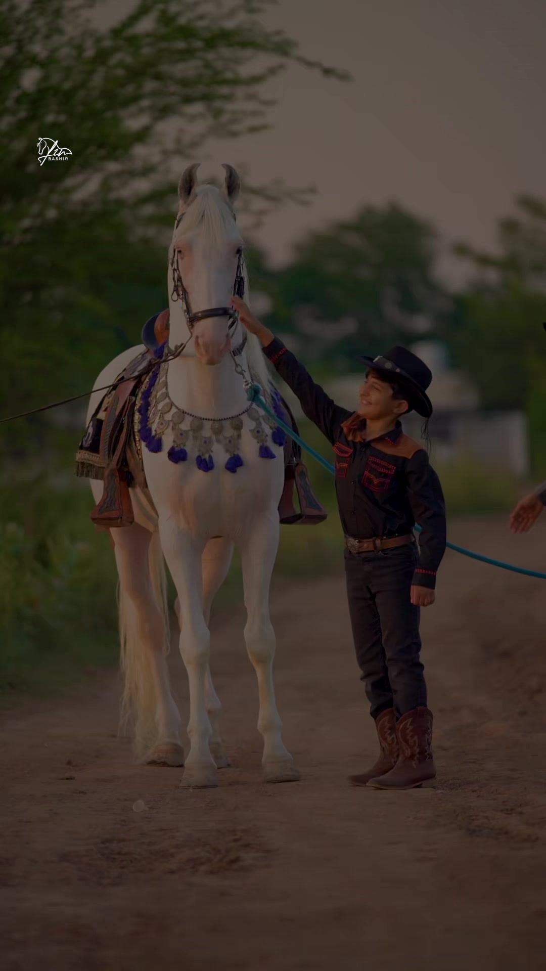 @☀️SUNRISE 🐎FARMS Rawalpindi