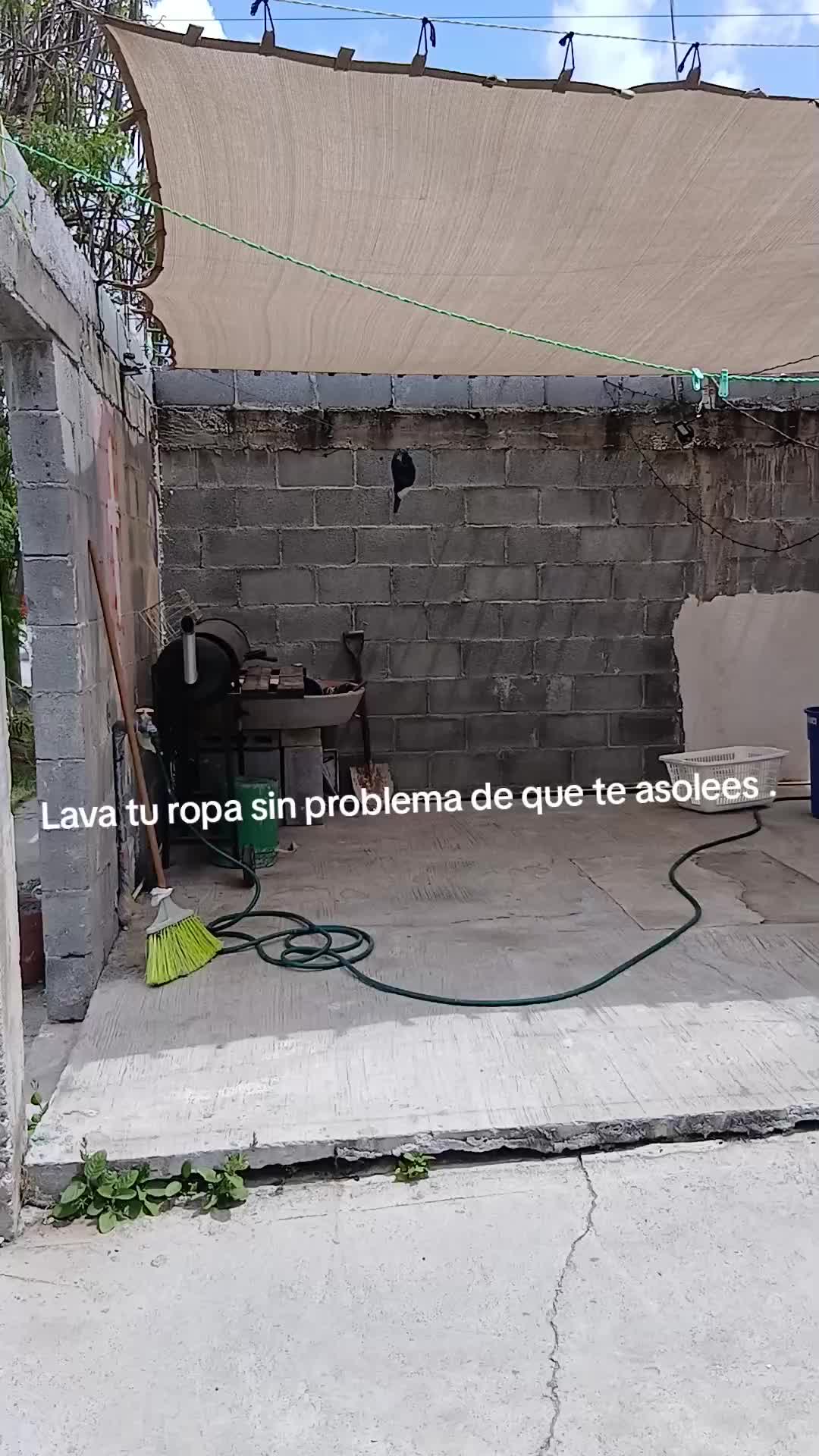 @Jessica Palacios