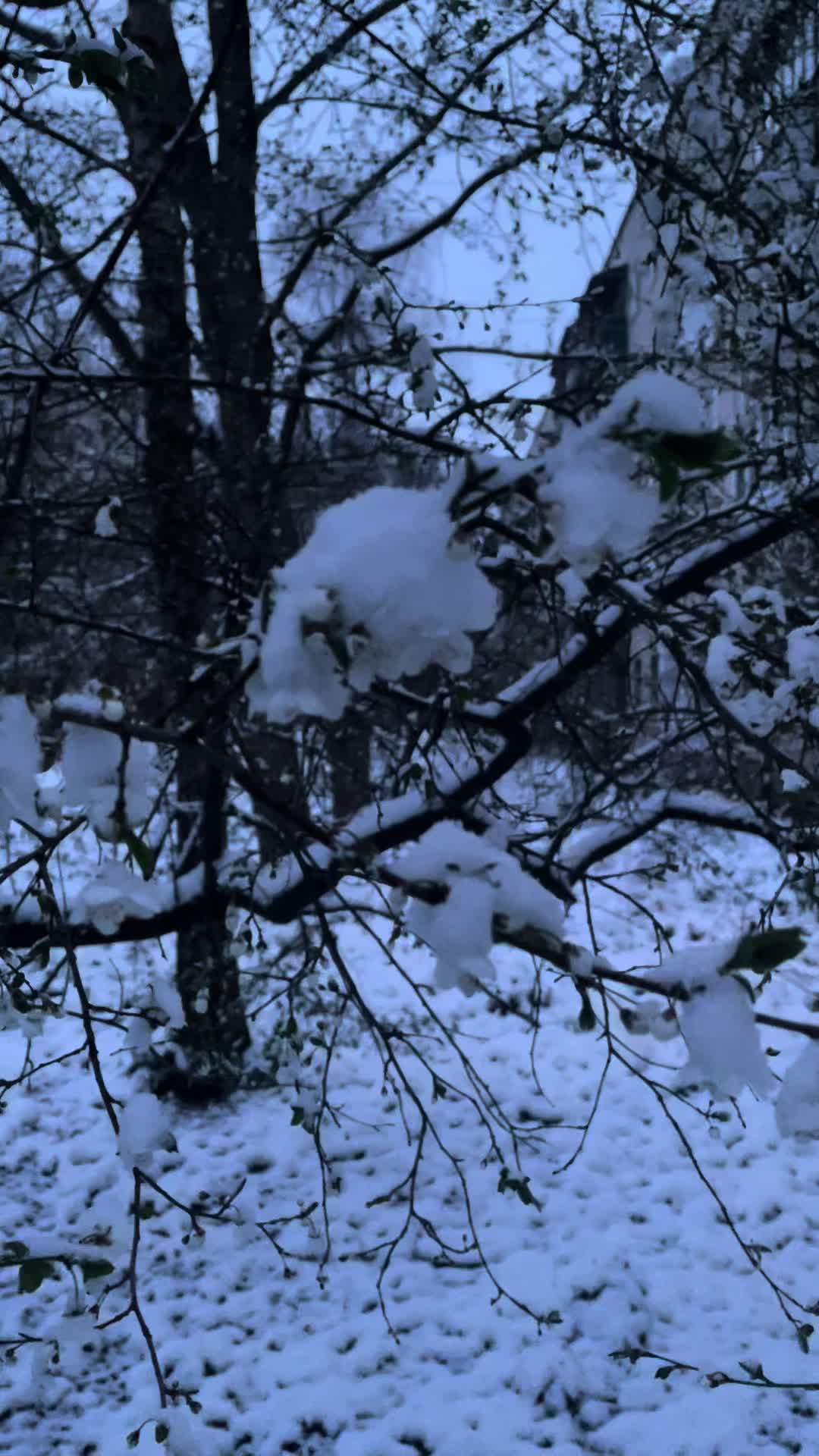 @соня