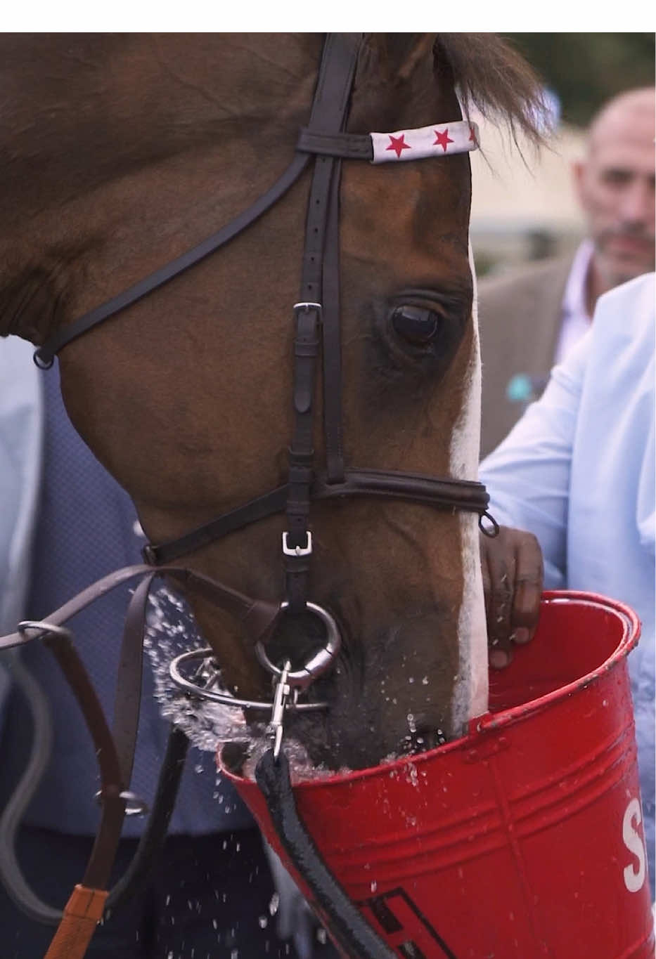 @Snaith Racing