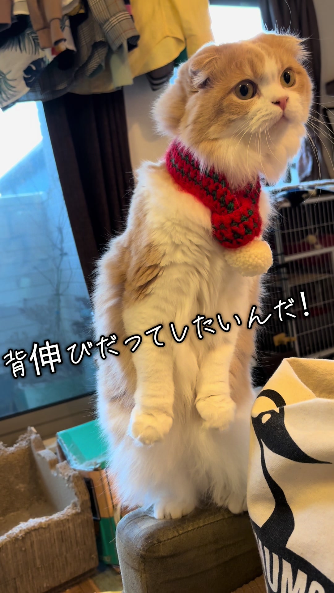@くるラテ