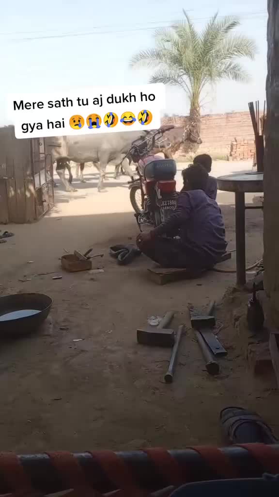 @ALI SANDHU💙