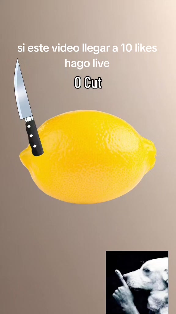 @Gokubloxoficial