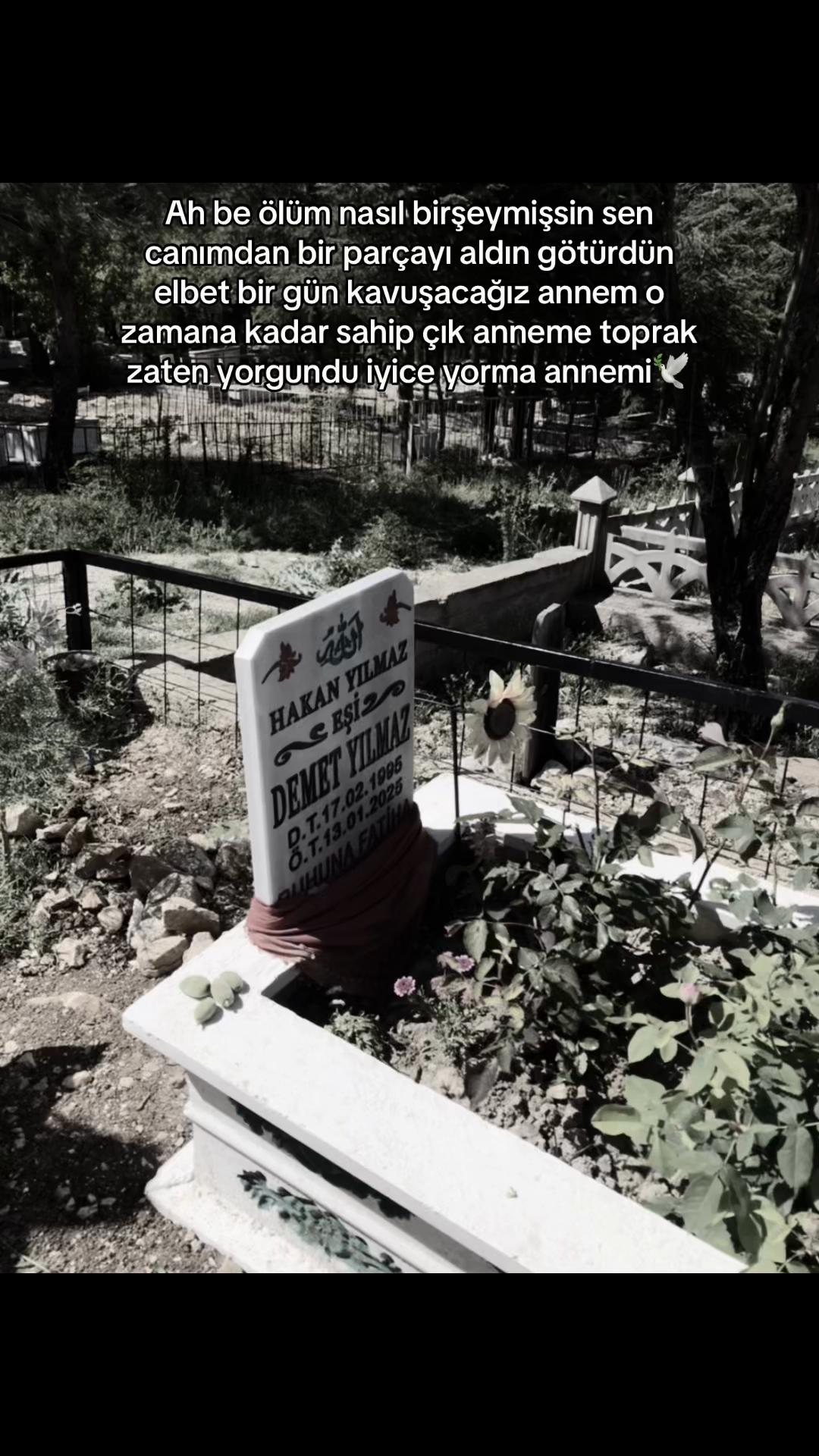 @𝐍𝐮𝐫.