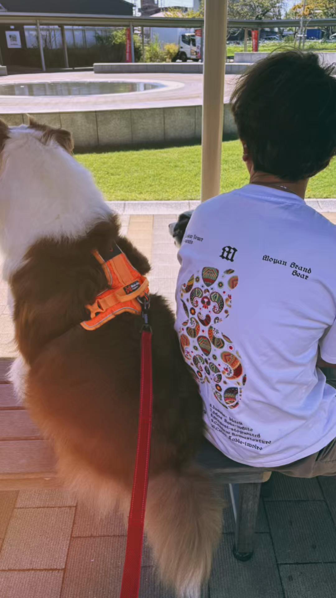 @サン&タマ