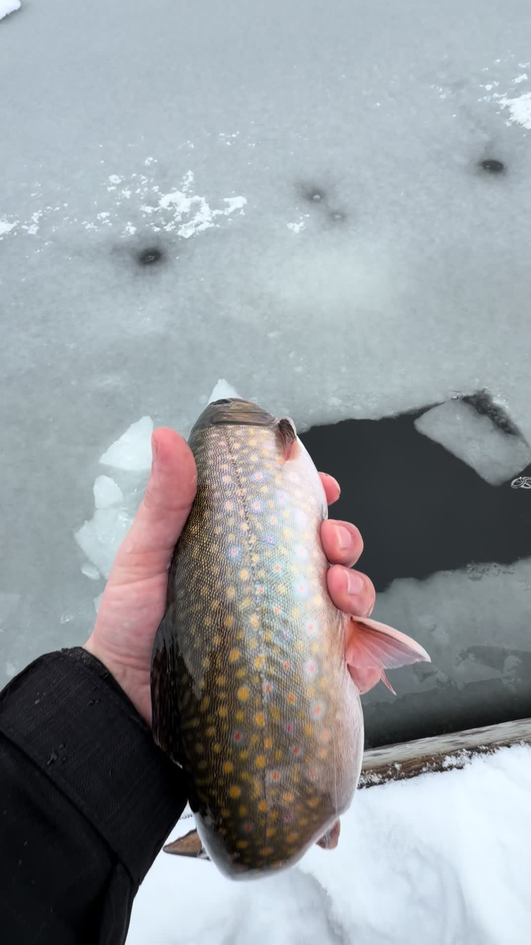 @Jared fishing BC