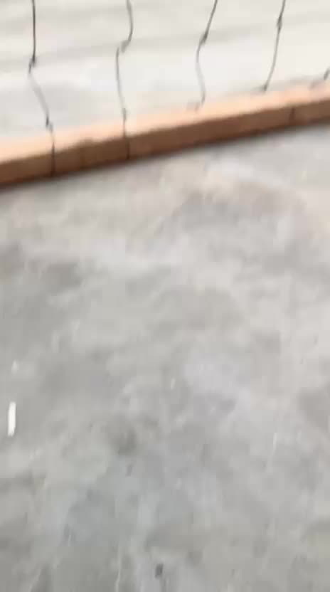 @bgaszz🦖