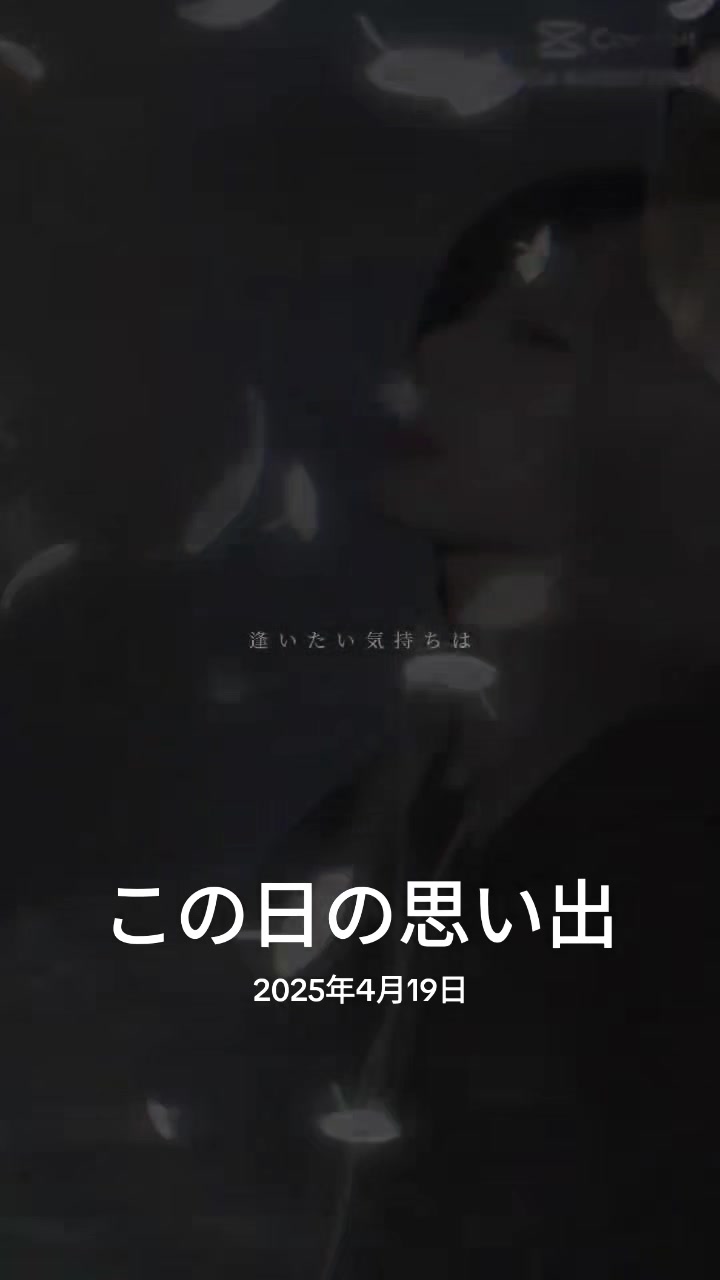 @🐉🍀⋆͛tnt龍也🐉🍀⋆͛