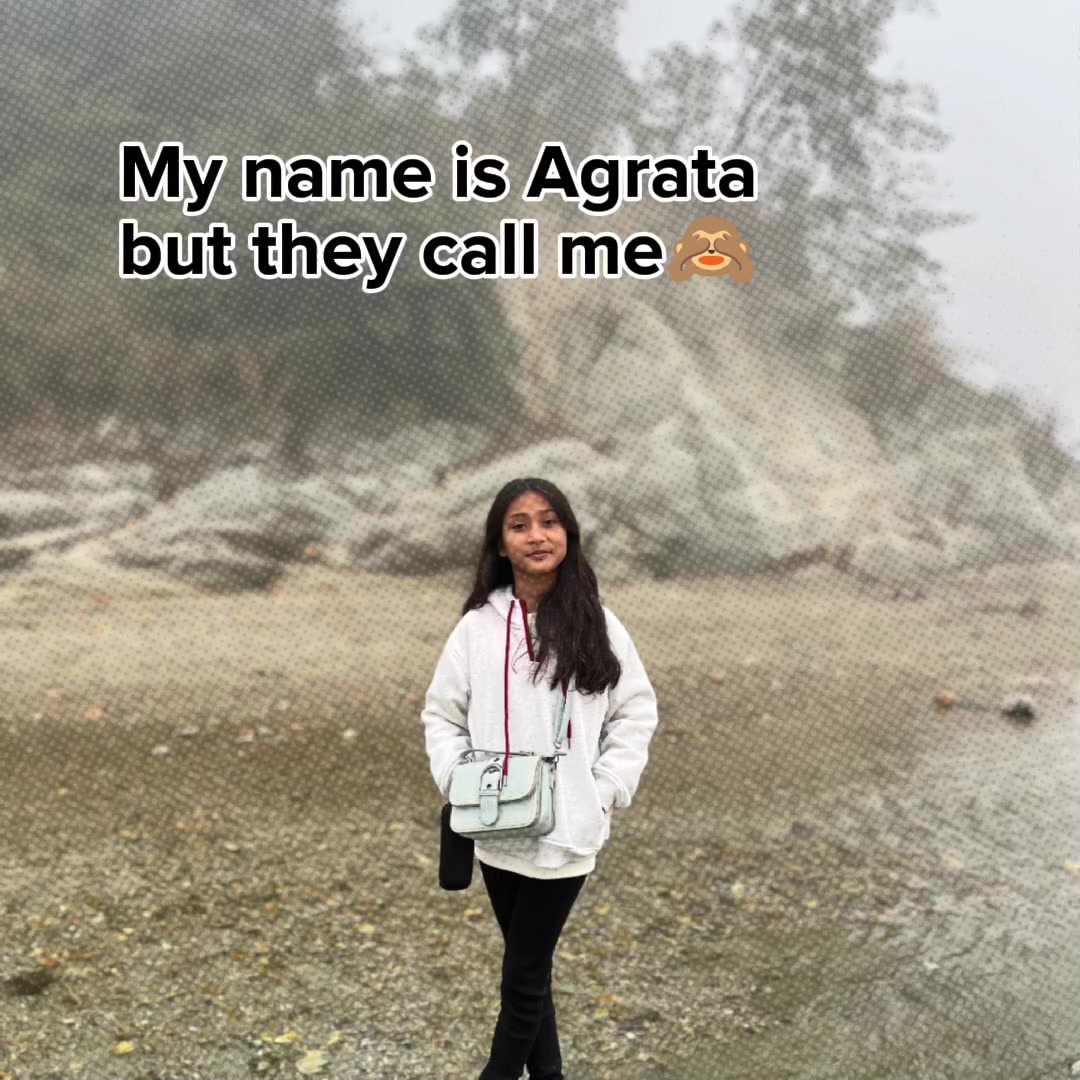 @ranjitabasnet