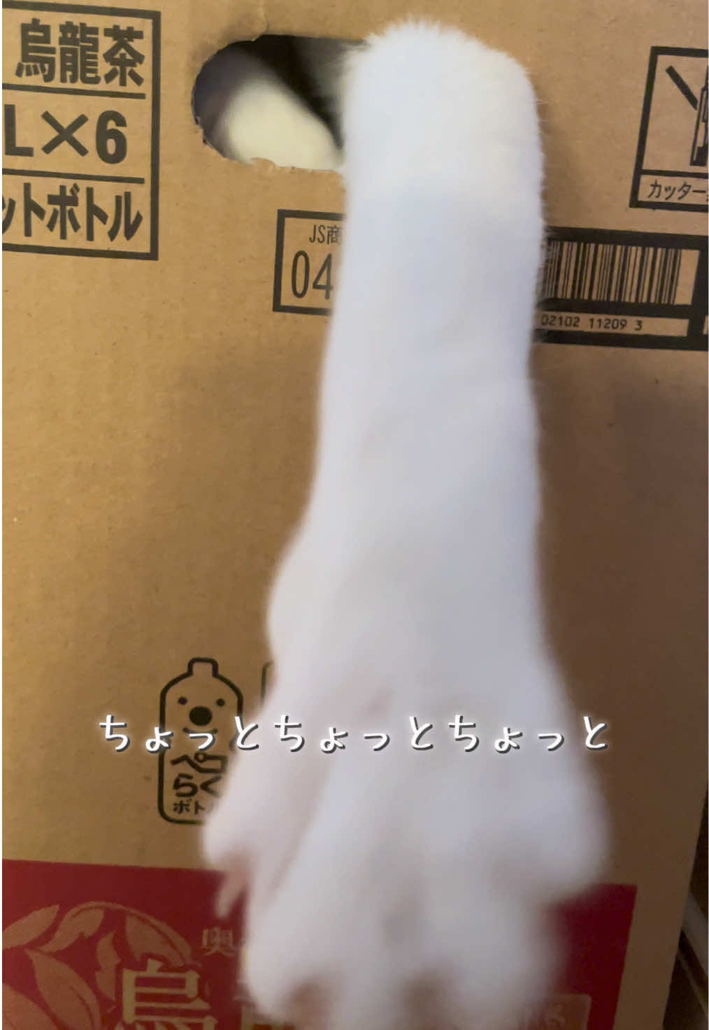 @ねこまみれ