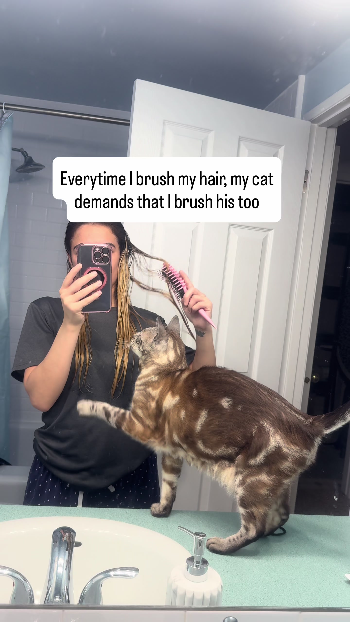 @Three Nawty Cats