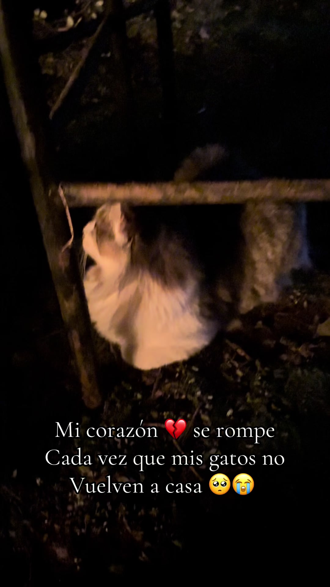 @mabelmartinezar