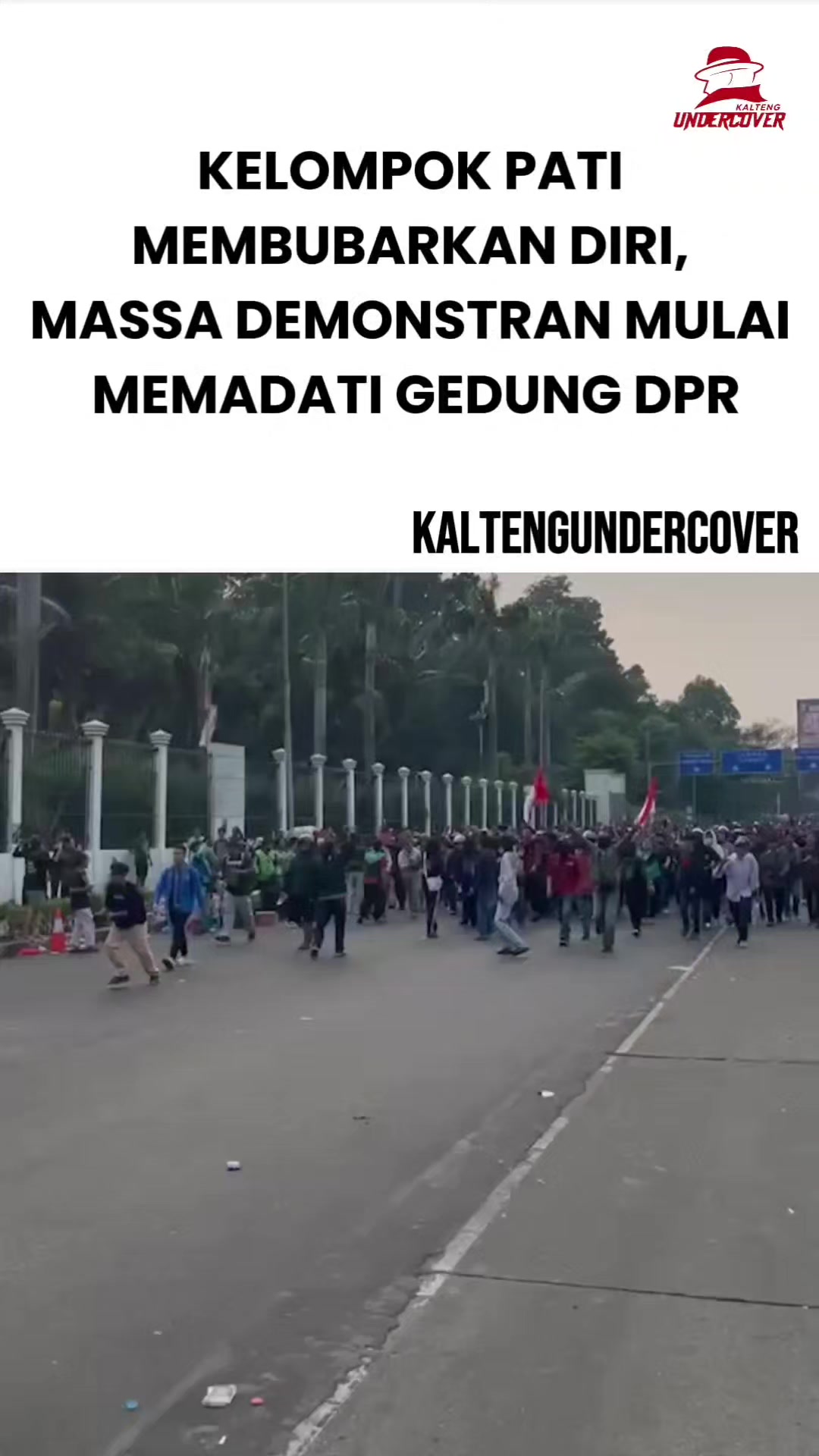 @kaltengundercover