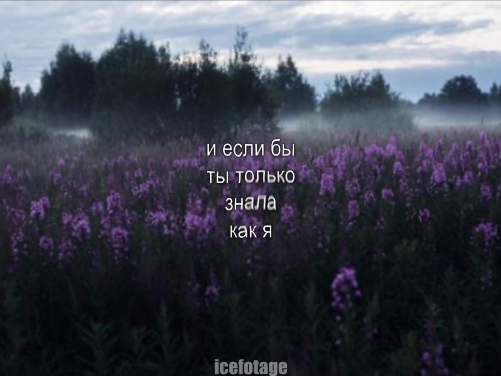 @музыка для липсингов