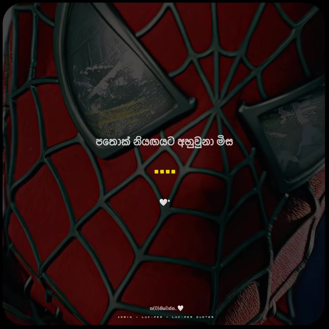 @𝐋𝐔 ︰𝐂𝐈 🤍
