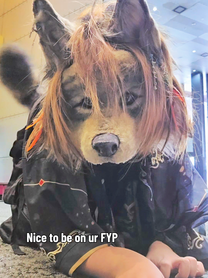 @Aspen is a wolf