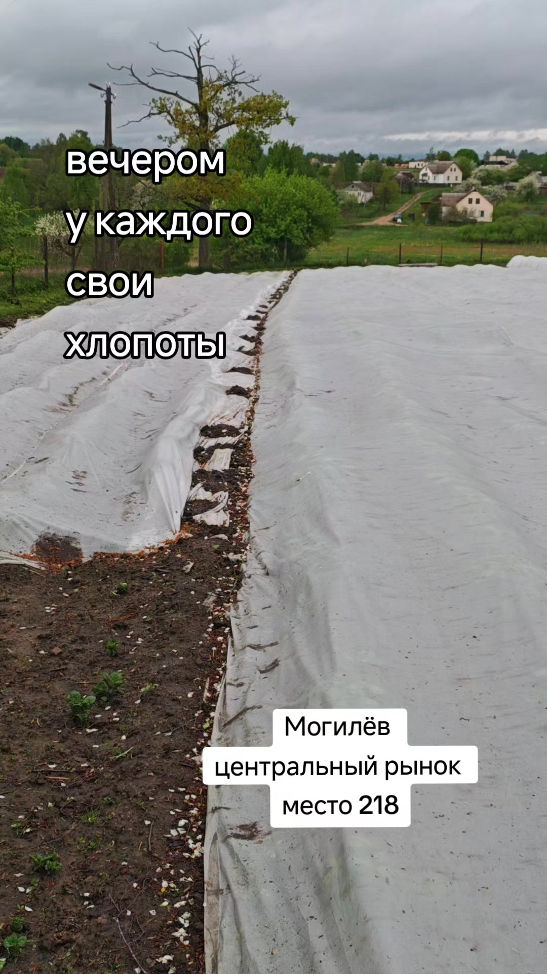 @Картофель Могилёв