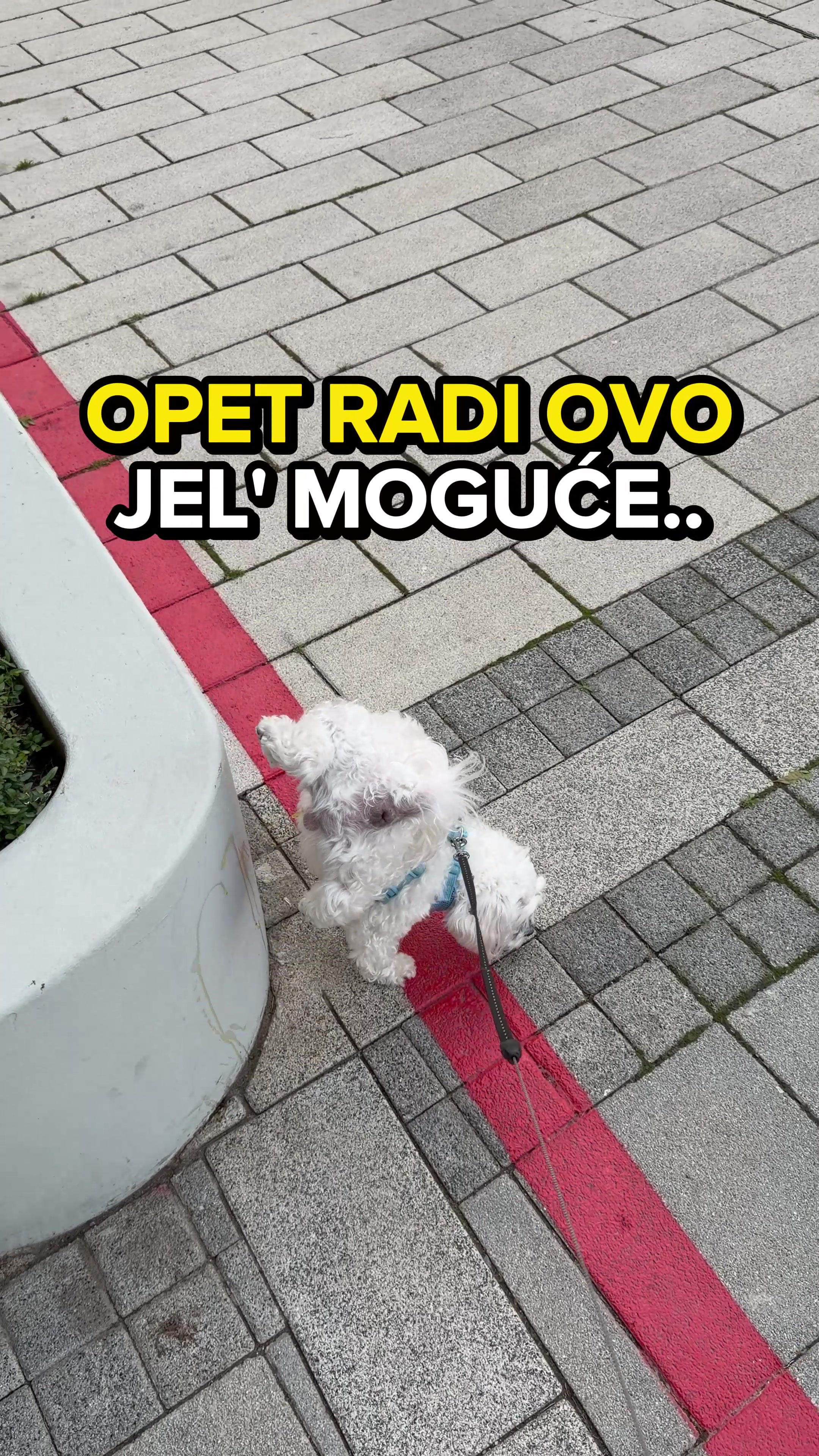 @IVANA PUZIC