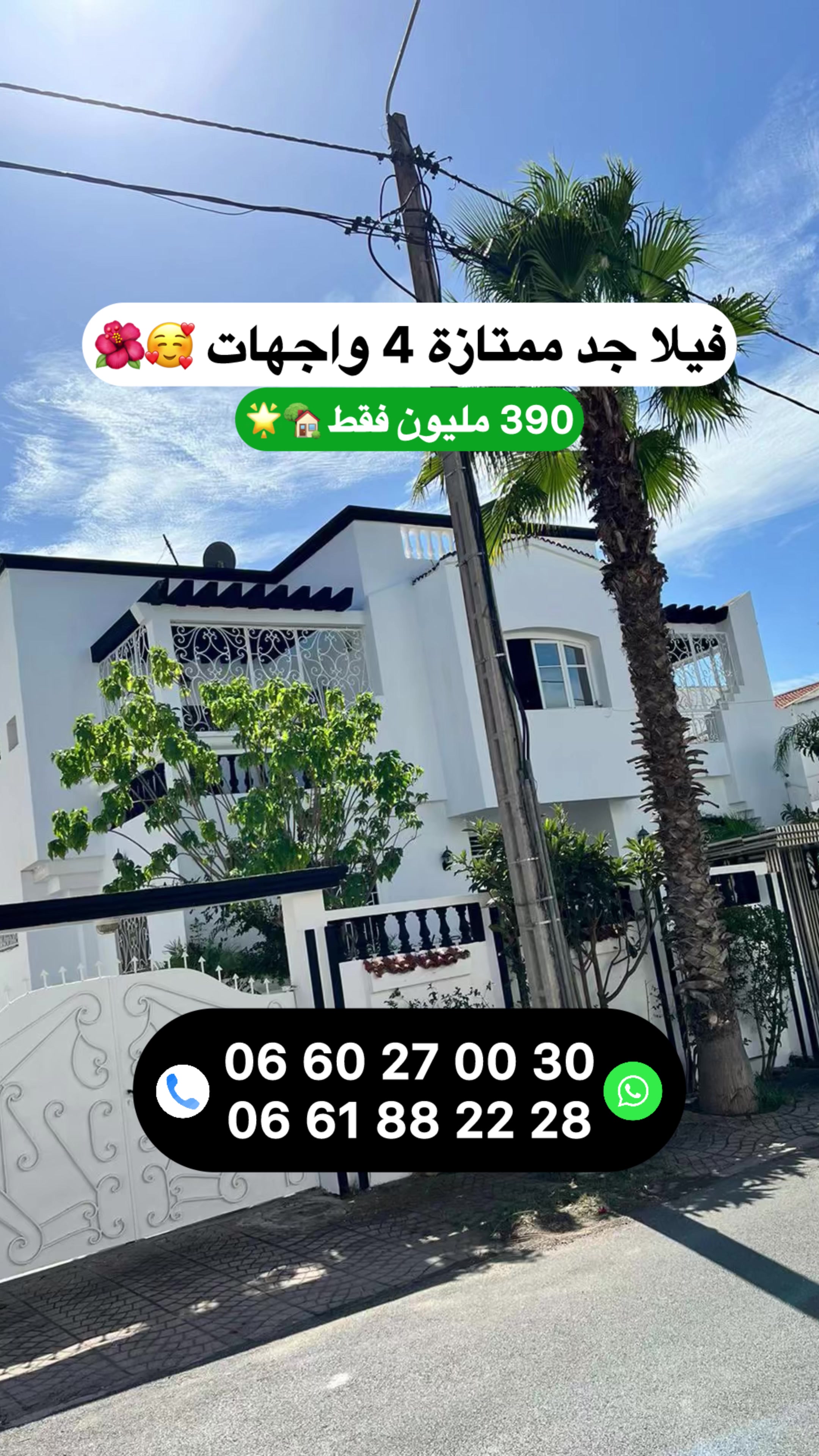 @Zakaria Haddad 🇲🇦🇵🇸