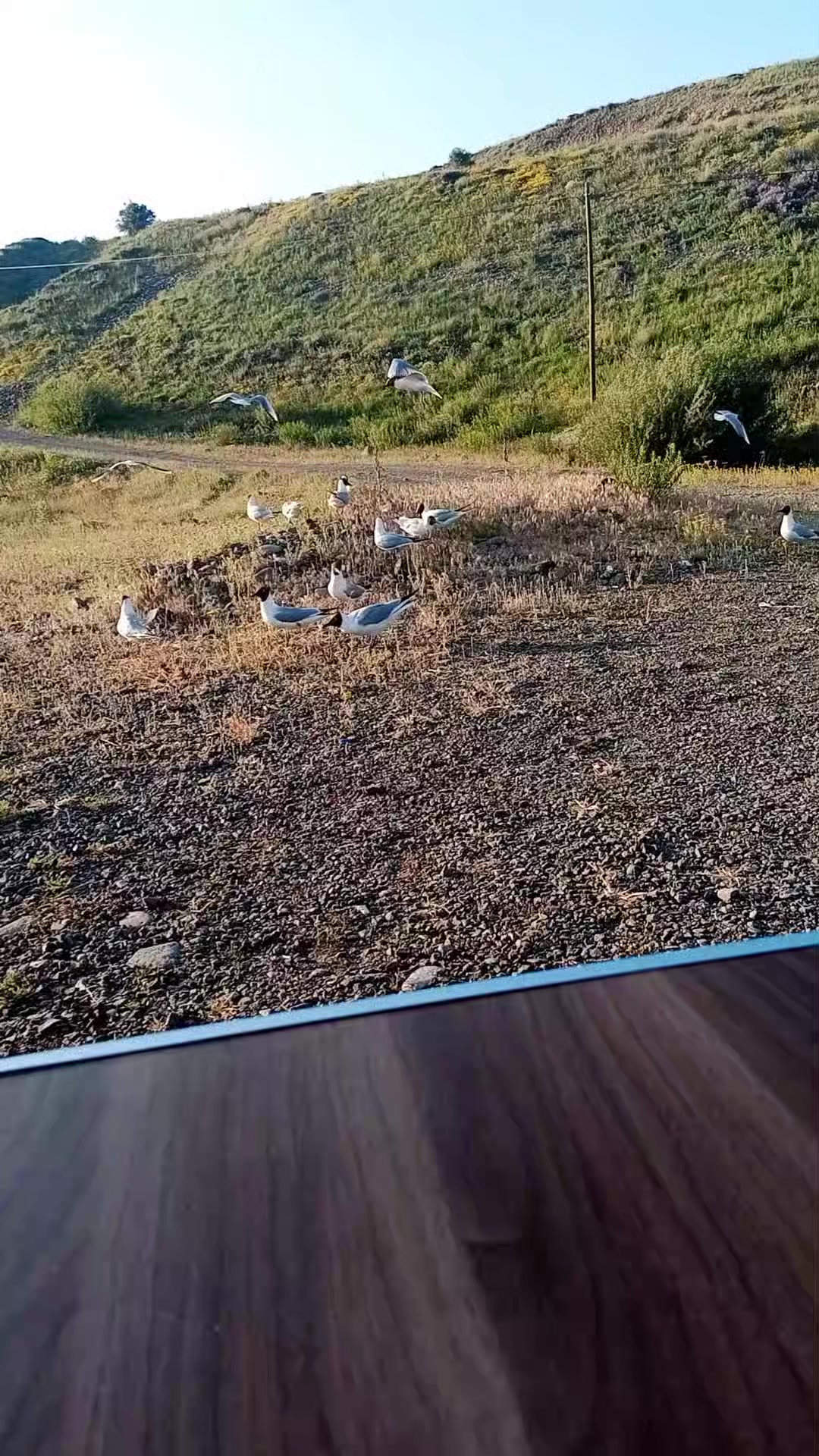 @hacerin mutfağı