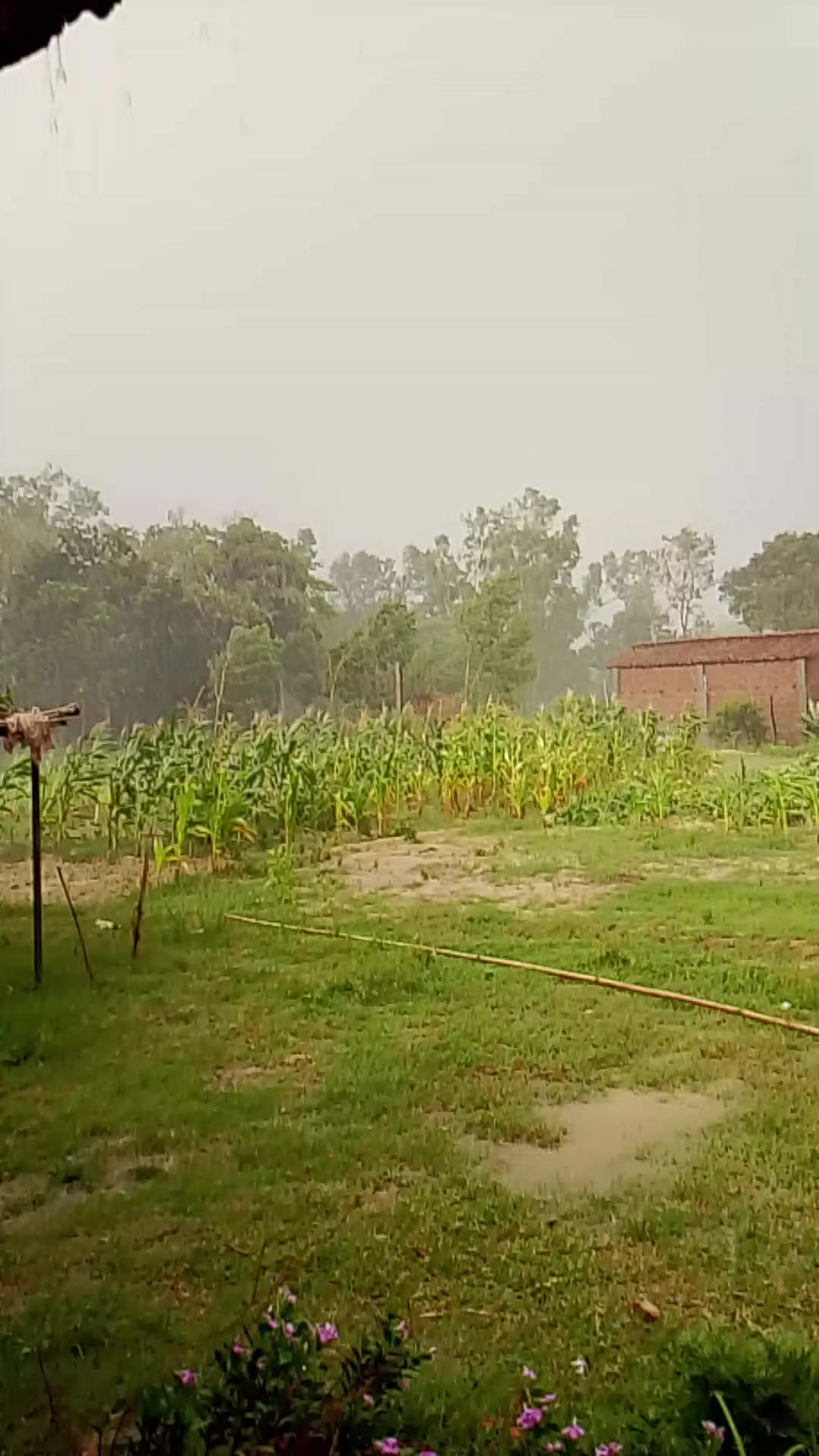 @फुलगेन यादव