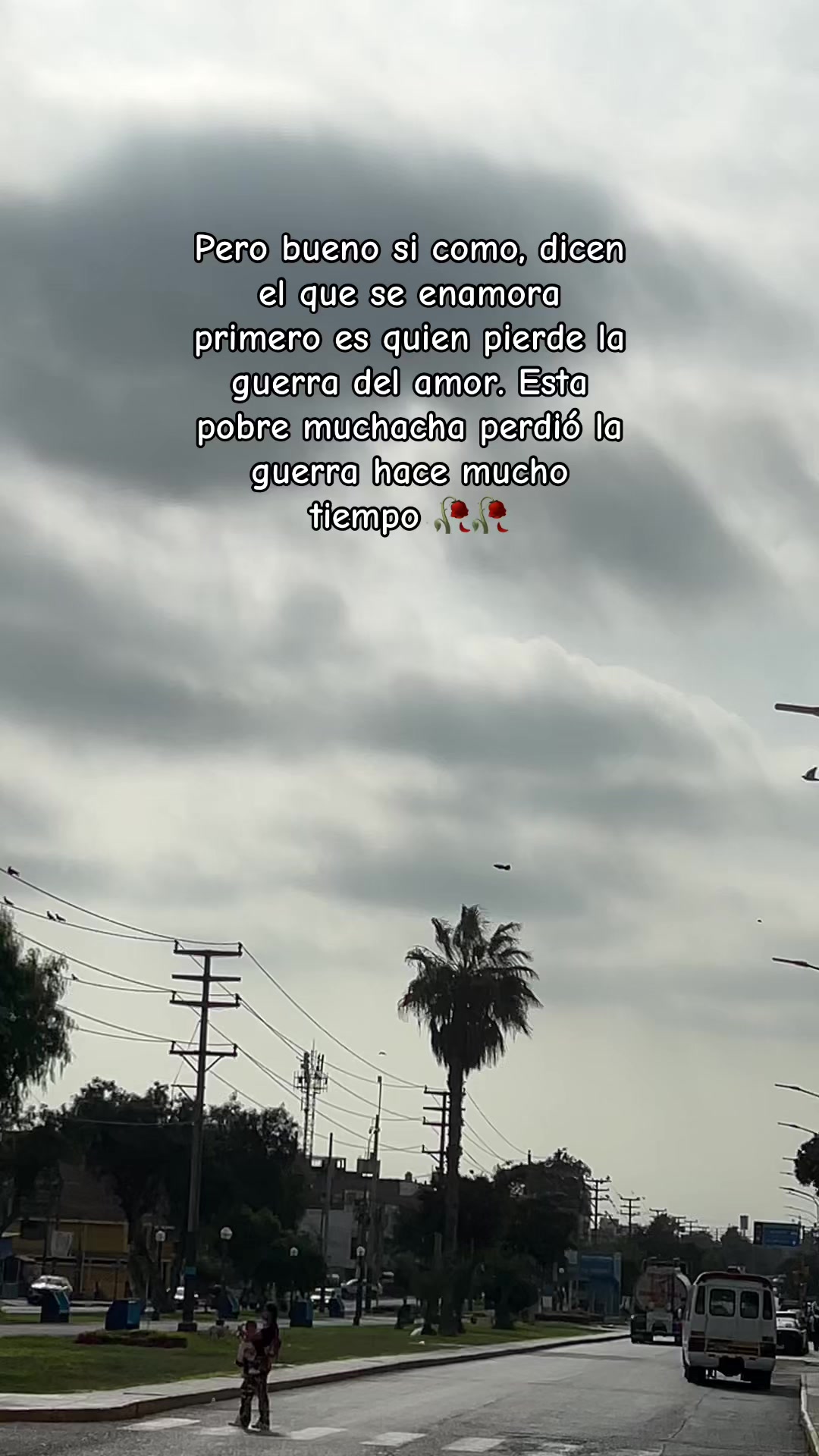 @ღ 𝐉 𝐞 𝐥 𝐢 ᵔᴥᵔ