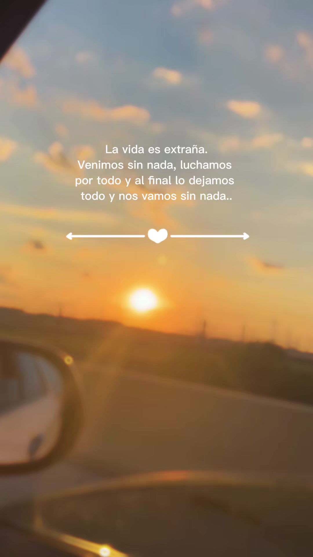 @Beatr&iacute;z🫅🏻🤩🌻