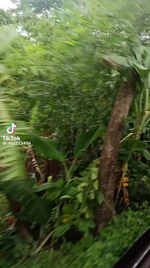 @শিশির ভেজা