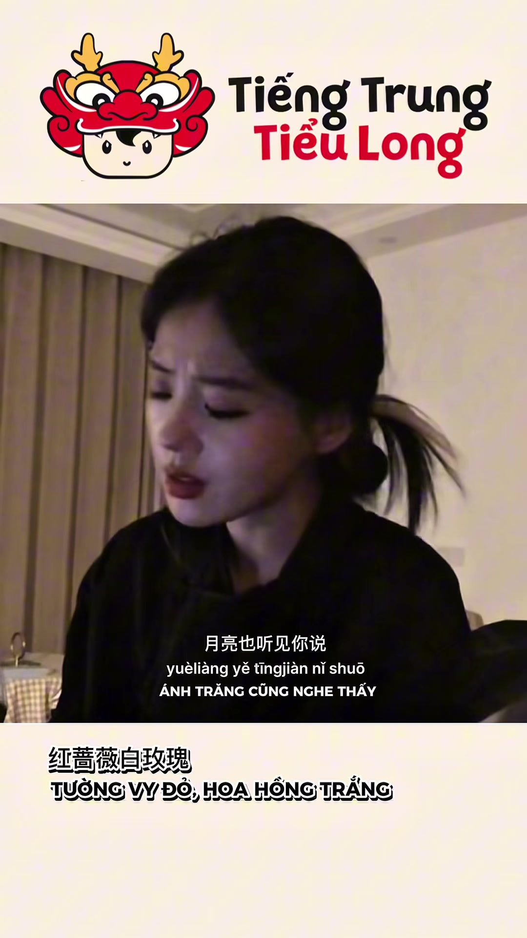 @Tiếng Trung Tiểu Long - 音乐