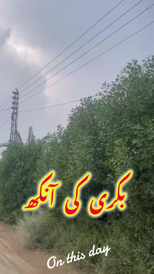 @Dr.Mohsin