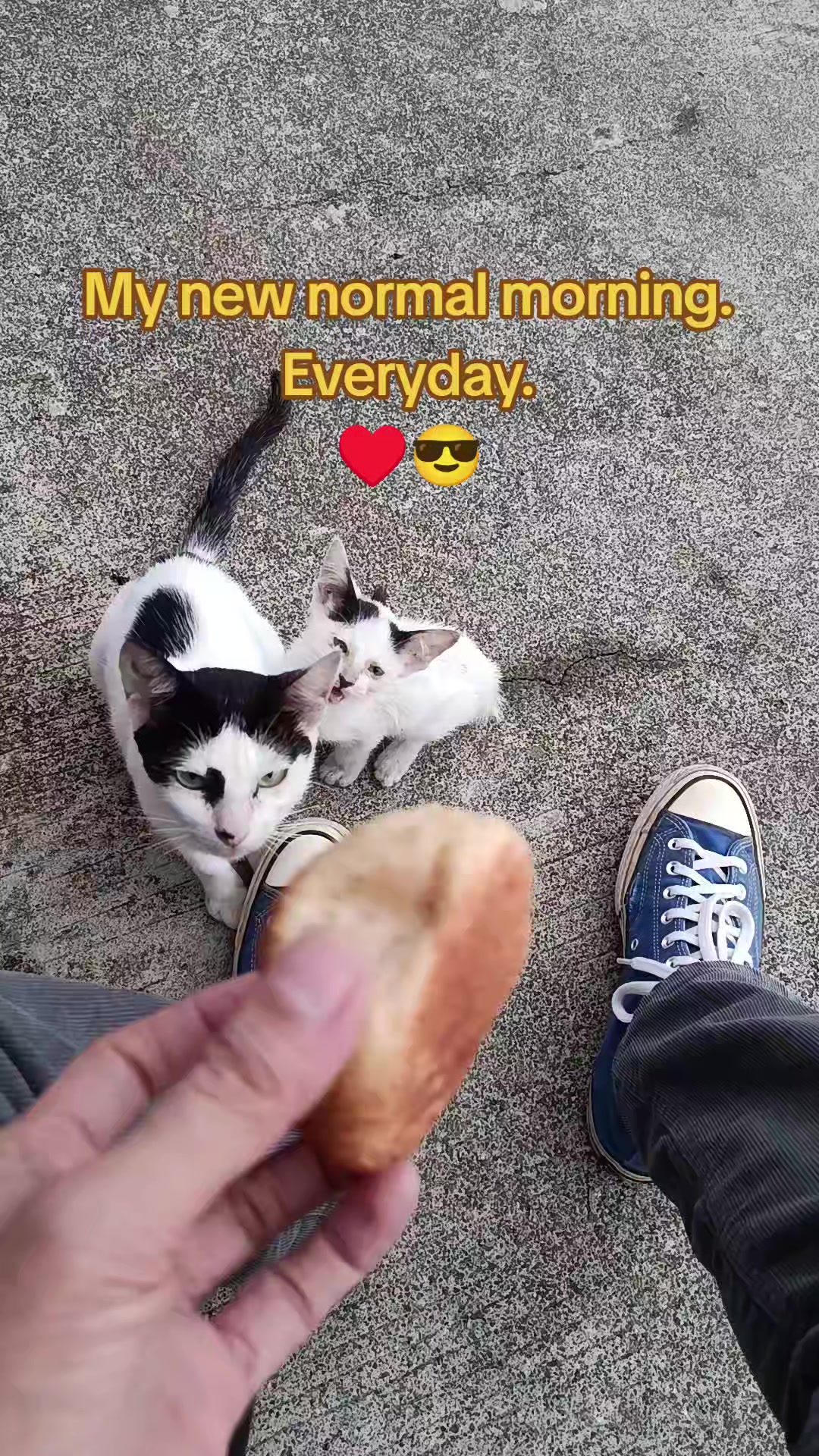 @Kuya Dean