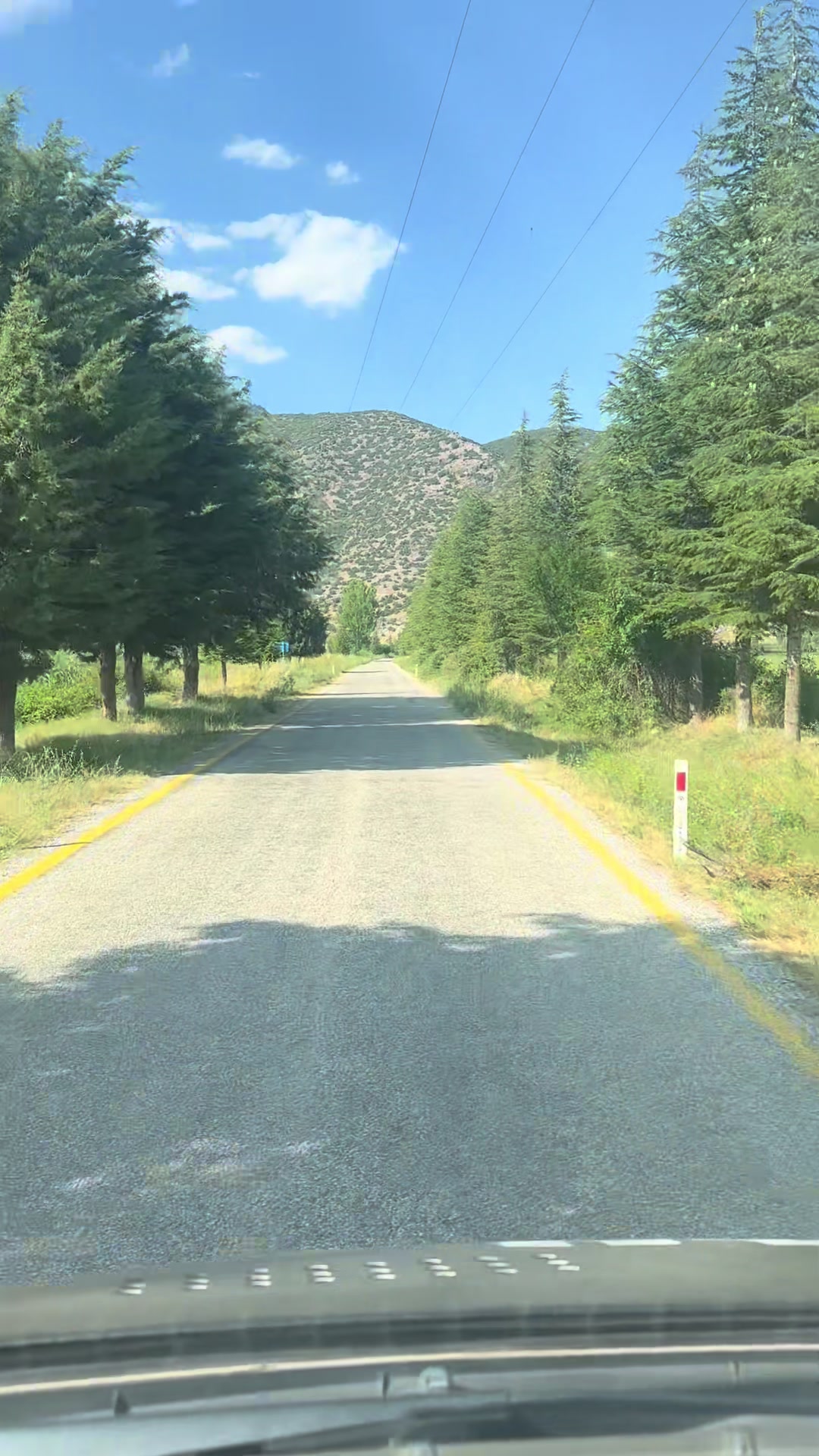 @Muhammet Akgün