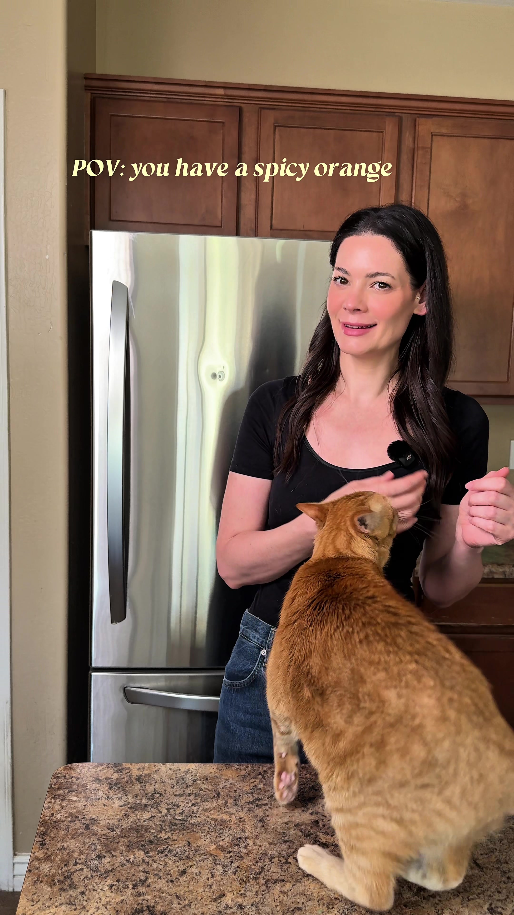 @Feminist Kitty | Cat Nutrition