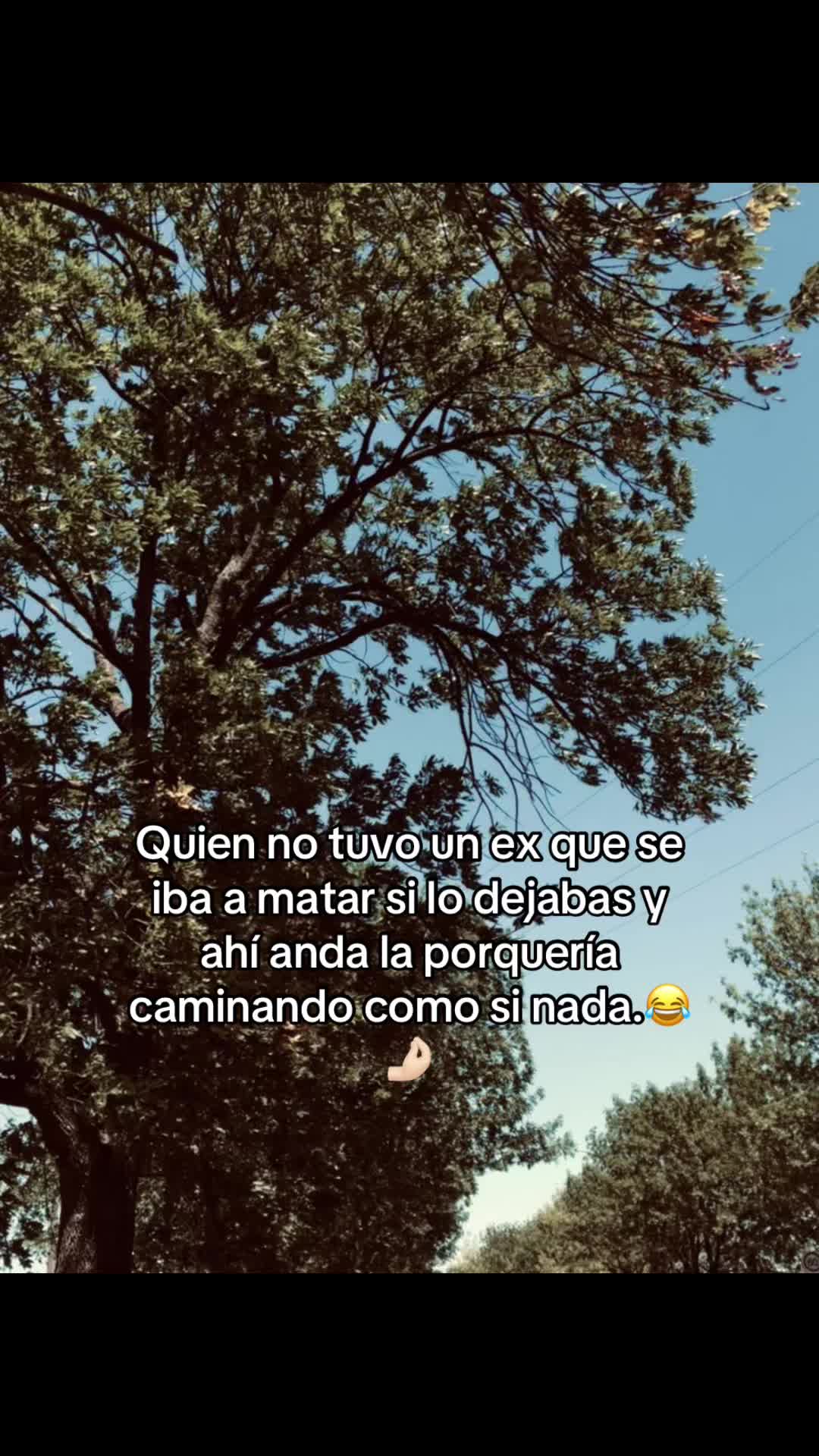 @beree_aa1