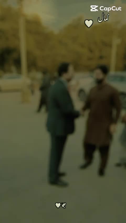 @Malik Rashid