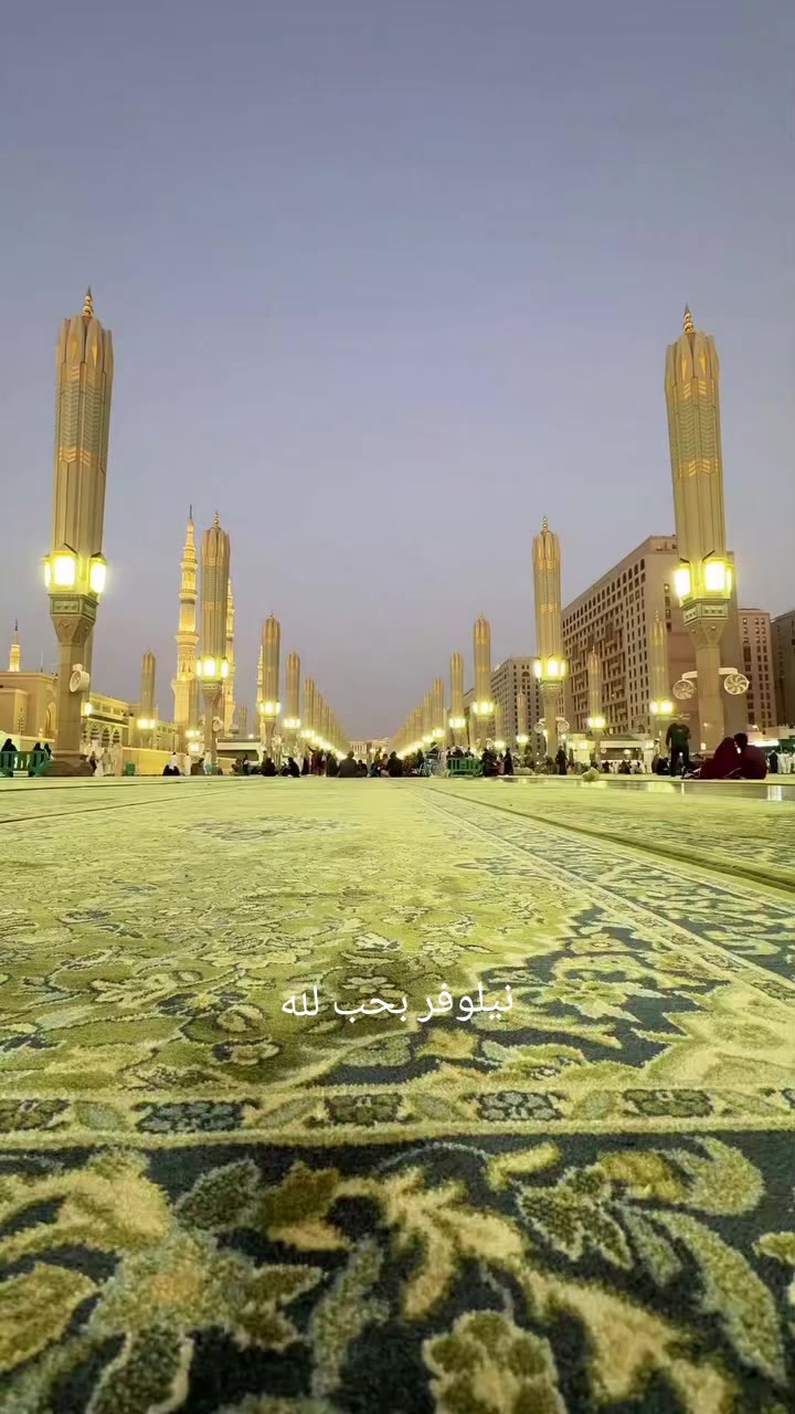 @نيلوفر